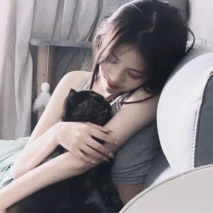 地狱猫