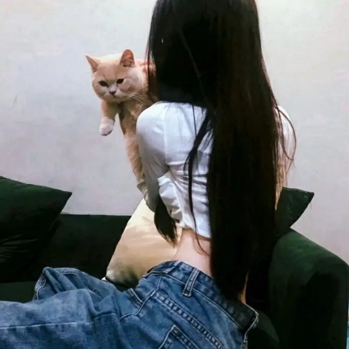 六姊妹
