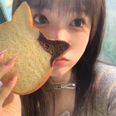 明星伙伴 第四季